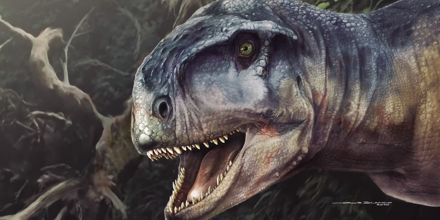 Descubren una nueva especie de dinosaurio en la Patagonia y lo apodan “el que causa miedo”