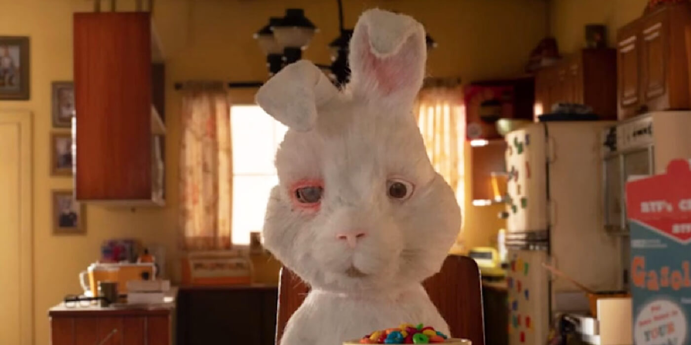“Soy un conejo de testeo”: La emotiva campaña para prohibir el testeo de cosméticos en animales