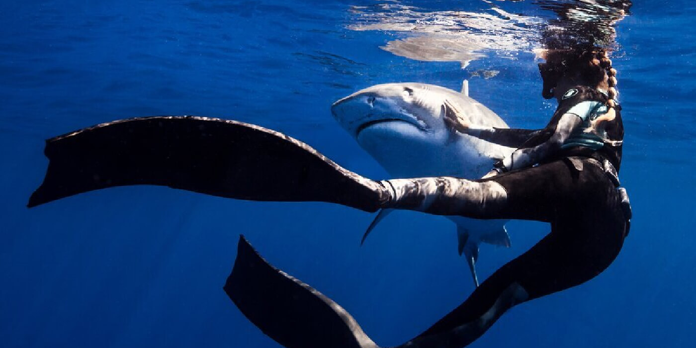 Viral: Una bióloga marina explica cómo hacerle frente a un ataque de tiburón y es furor en Tiktok