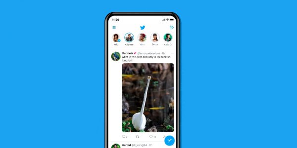 ¡Al fin! Twitter lanza imágenes a tamaño completo en su timeline