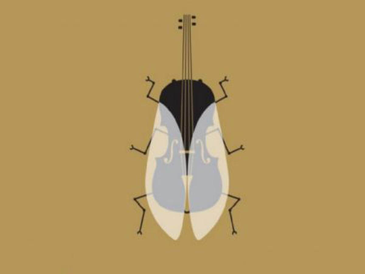¿Un violín o una mosca? Este test habla de tu personalidad