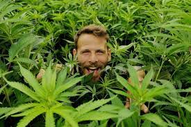“En Israel (el cannabis) no es legal si no tenés una licencia”, Matías Litvak
