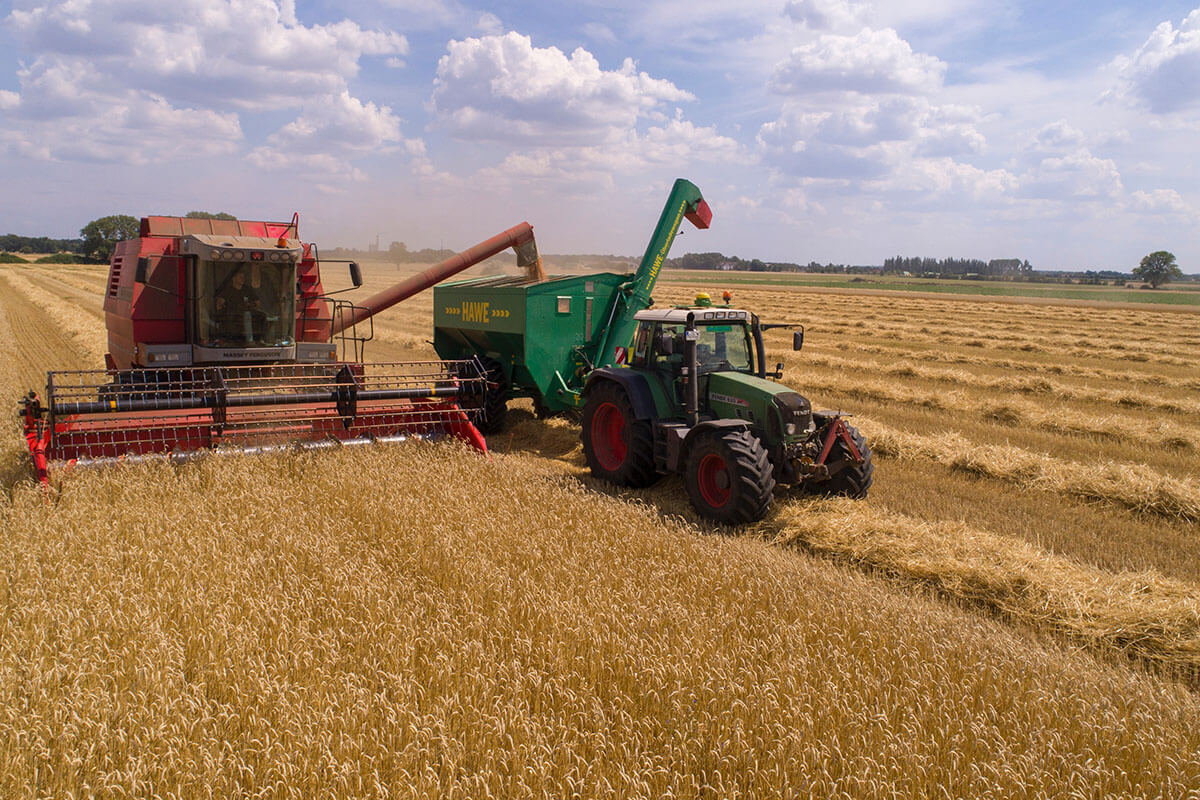 El agro ya liquidó 20.100 millones de dólares en lo que va del año