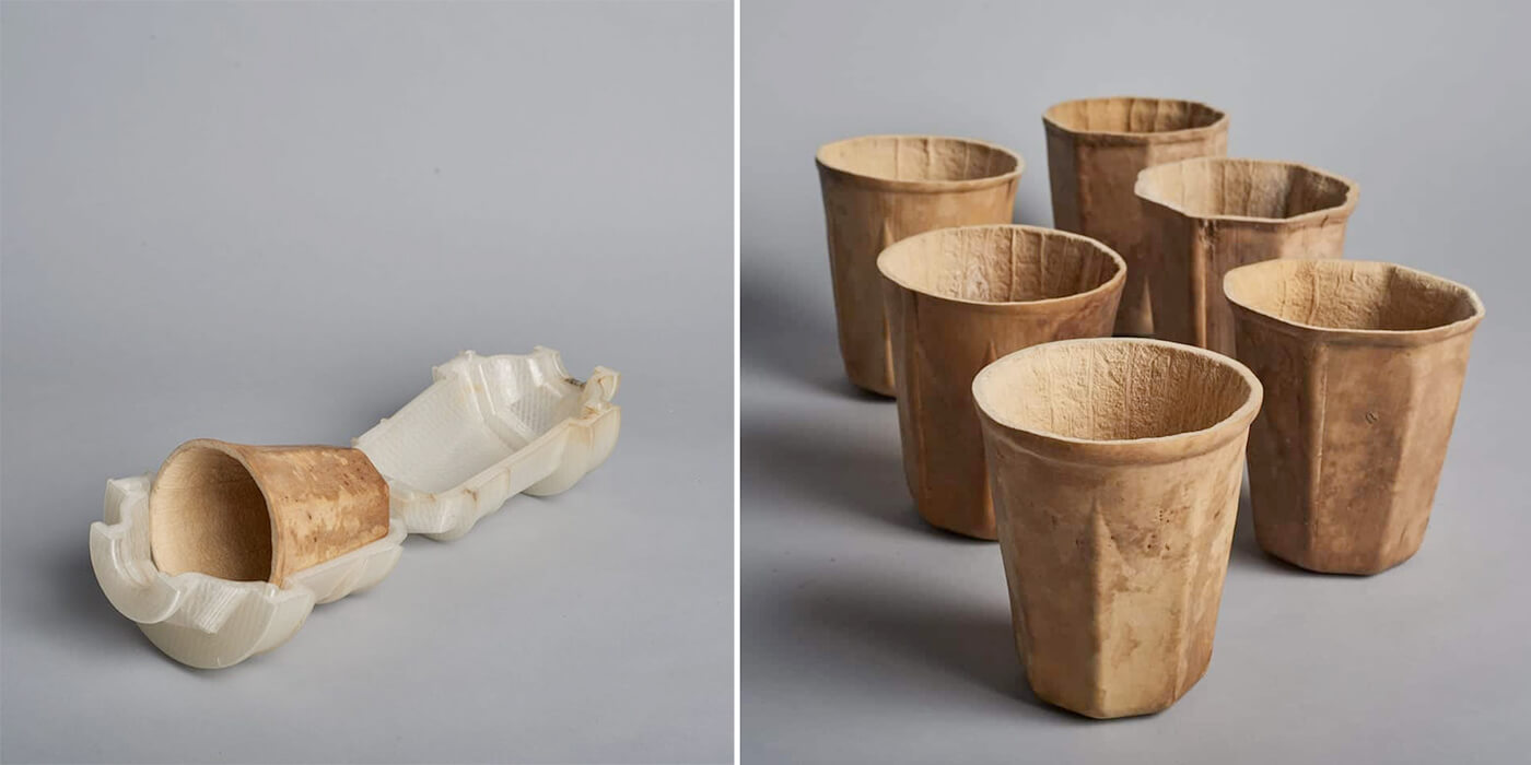 Cultivan calabazas en moldes para crear vasos biodegradables