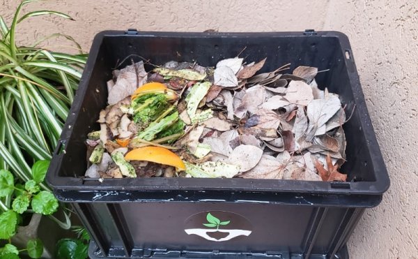 Compost: Reducir los desechos orgánicos es tendencia urbana