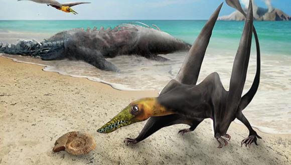 Chilenos hallan los restos fósiles de un dragón volador prehistórico