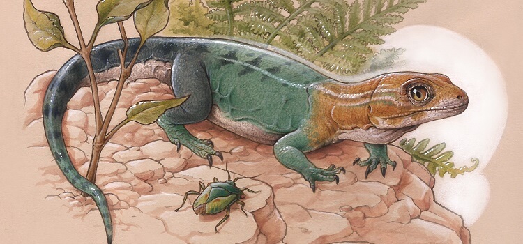 Descubren una nueva especie de lagarto fósil de 84 millones de años en la Patagonia