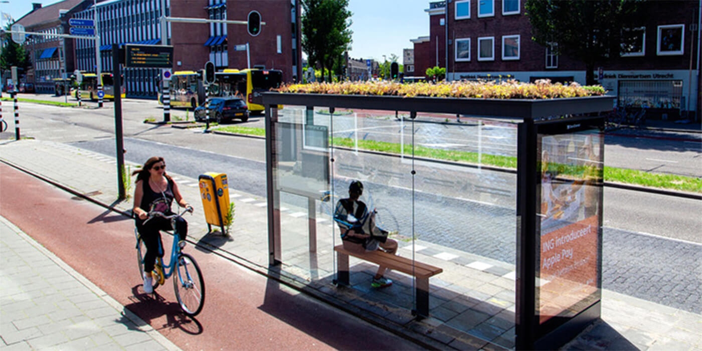 Las abejas coparon las paradas de colectivo en Holanda