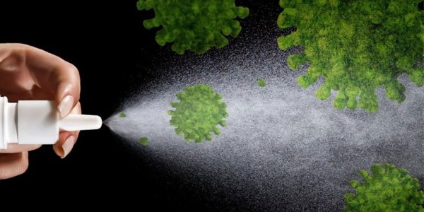 Una bacteria aplicada en spray podría proteger contra el coronavirus