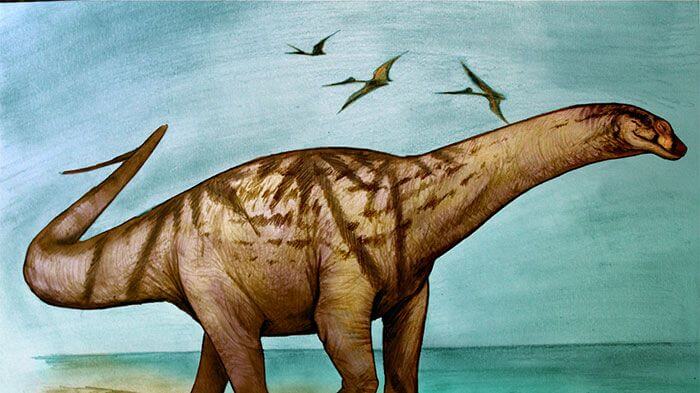 Hallan restos de dinosaurios de más de 70 millones de años en Río Negro