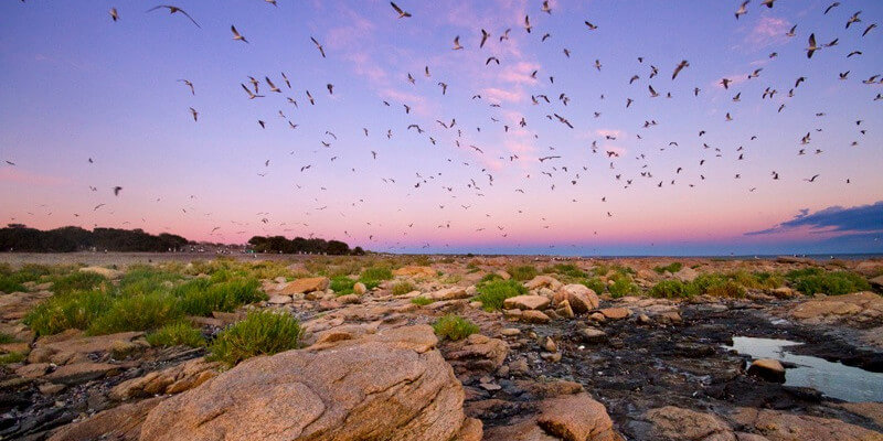 Argentina tendrá un nuevo Parque Nacional