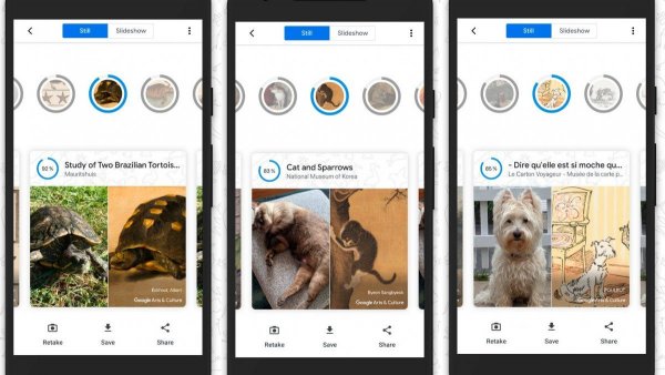 Una app permite encontrar el “doble” de tu mascota en obras de arte de la historia