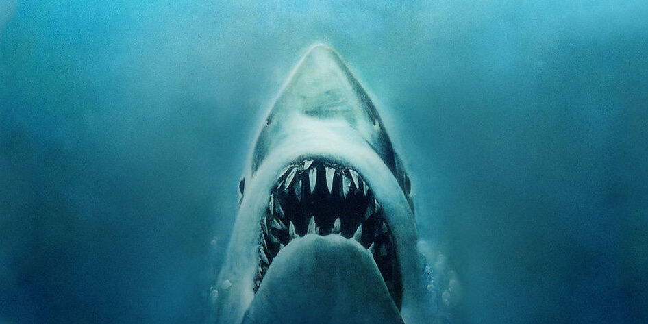 Hallan el diente de un tiburón prehistórico gigante en Mar de Ajó