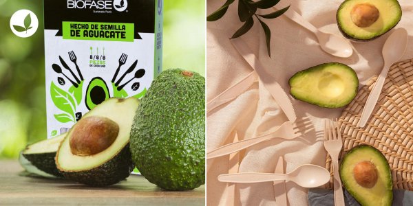 Ecología: Fabrican envases y cubiertos con el carozo de la palta