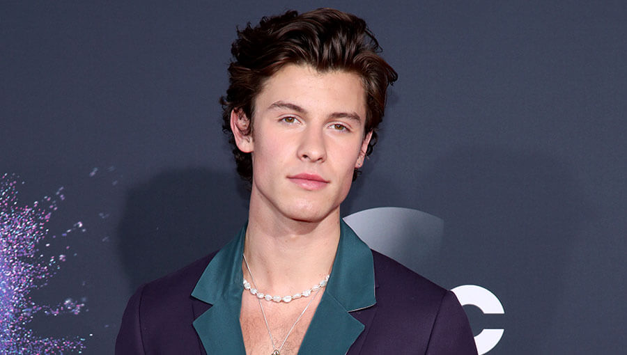 Shawn Mendes la pasa mal con las redes sociales