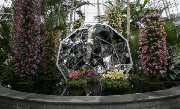 El Jardín Botánico de Nueva York inaugura un caleidoscopio de orquídeas