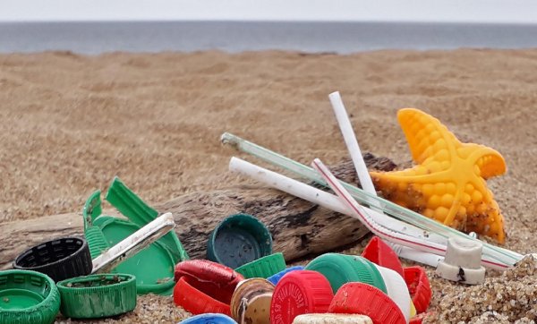 Más del 80% de los residuos hallados en playas bonaerenses son plásticos