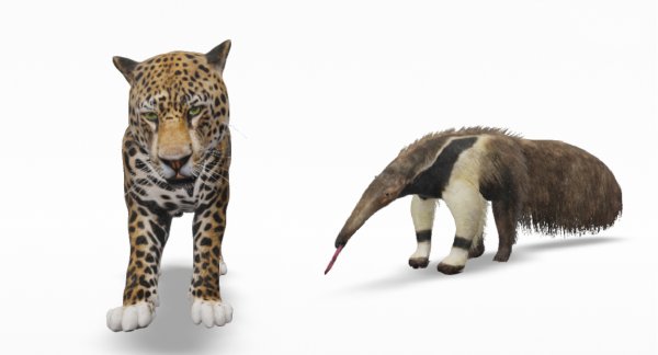 Conservación: Crean al yaguareté y al oso hormiguero en 3D