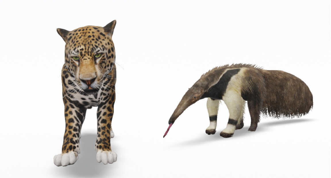 Conservación: Crean al yaguareté y al oso hormiguero en 3D