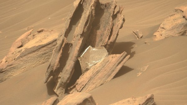 El róver Perseverance de la NASA encontró en Marte “algo inesperado”