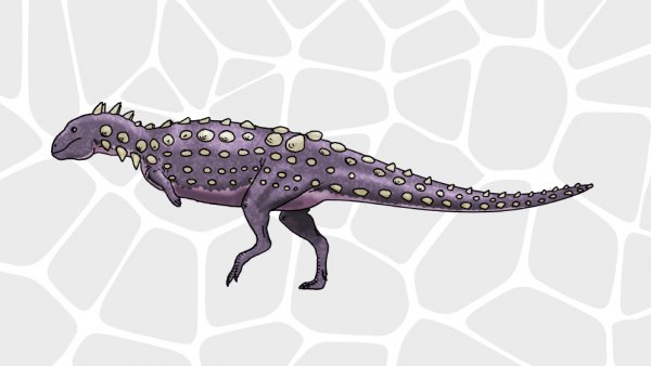 Argentinos hallan a “Jakapil”, el primer dinosaurio bípedo y acorazado de Sudamérica