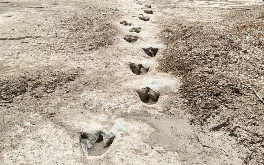 Tras la sequía, aparecen huellas de dinosaurios en un parque de Texas