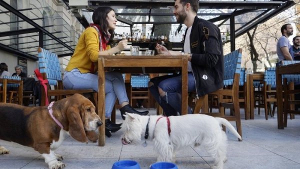 “Pet friendly”: bares y restaurantes de Bahía Blanca admitirán el ingreso de mascotas