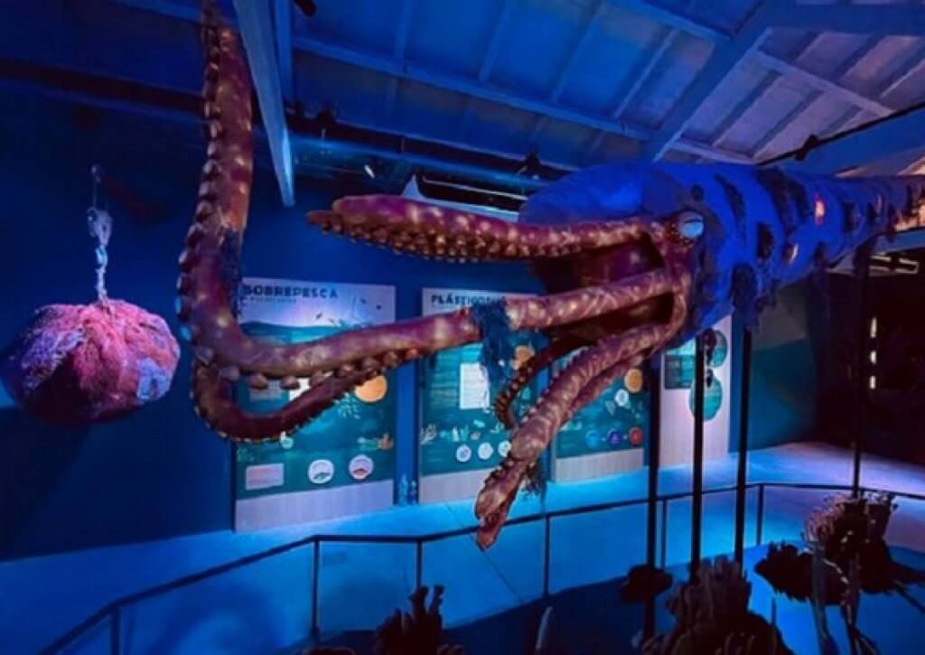 La Estación Oceánica del Ecoparque abrirá sus puertas en La Noche de los Museos