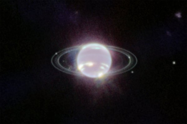 Toman la imagen más nítida de los anillos de Neptuno en décadas
