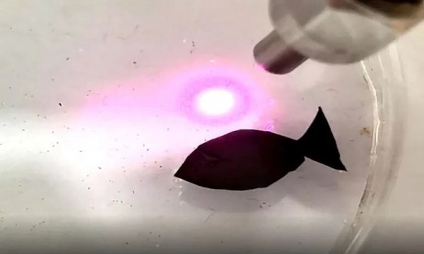 Para limpiar los océanos, crean peces robot que comen microplásticos