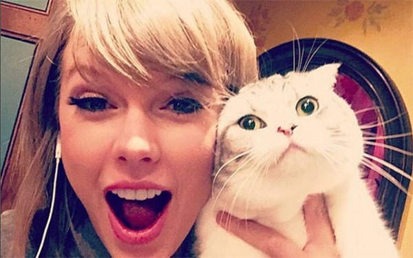 La gata de Taylor Swift vale casi 100 millones de dólares