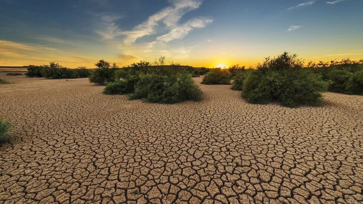 Cambio climático: ¿Por qué hace tanto calor?