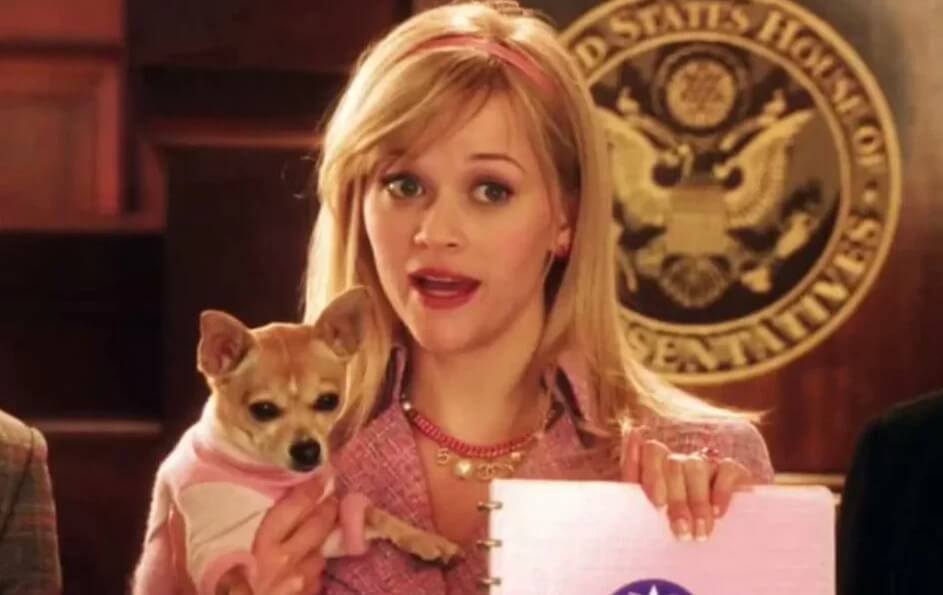 “Legalmente Rubia” vuelve en forma de serie
