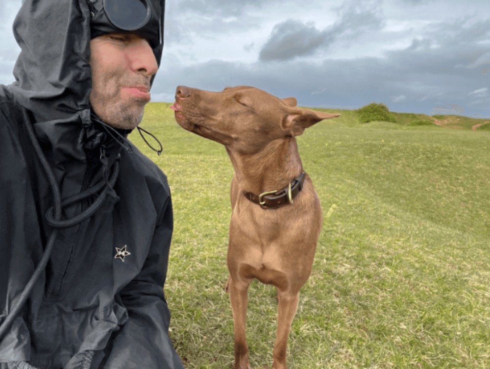 Liam Gallagher fue premiado por adoptar un perro sin hogar